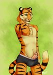  2015 anthro blush briefs canned_(artist) chest_tuft clothed clothing erection feline fur green_background green_eyes half-dressed looking_down male mammal navel penis poking_out simple_background solo standing striped_fur stripes tiger topless tuft underwear whiskers 