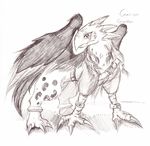  2009 avian beak belt claws english_text feathers feral fur garion gryphon legendz male markings nude scar simple_background sketch solo spots text tigerlilylucky toe_claws traditional_media_(artwork) white_background wings 