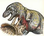  blood claws dinosaur fight horn open_mouth stab teeth triceratops tyrannosaurus_rex wounded 