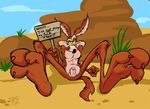  canine coyote desert draconis0868 english_text looking_at_viewer looney_tunes lying male mammal paws penis sheath sign slingshot smile solo text warner_brothers wile_e._coyote 