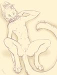  2015 animal_genitalia anus canine_pussy collar female flat_chested heterochromia lying nude on_back pussy sketch solo spread_legs spreading toots 
