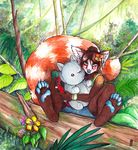  2015 brown_fur brown_hair femal flower flower_in_hair fur hair hindpaw mammal outside paws plant plushie rainforest red_panda solo tanutanuki 