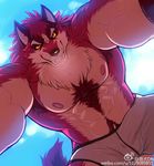  2015 abs alternate_version_available anthro biceps big_muscles boxers_(clothing) bulge canine clothed clothing colored drks erection fangs fur half-dressed looking_at_viewer male mammal muscular nipples open_mouth pecs penis red_eyes red_fur smile smirk solo sweat teeth toned tongue topless underwear white_fur wolf yellow_sclera 
