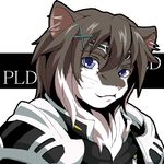  androgynous animal_ears blue_eyes brown_hair fantasy furry hair_ornament hairclip lowres m_(pixiv873365) multicolored_hair solo whiskers 