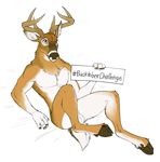  2015 adam_wan antlers balls cervine deer horn male mammal nude solo 