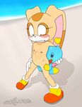  2015 abdominal_bulge anal anal_penetration anthro blush chao cheese_the_chao cream_the_rabbit excito female flat_chested from_behind lagomorph male mammal penetration public rabbit sonic_(series) sweat young 