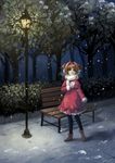  2013 ankle_boots antenna_hair bangs bench black_legwear boots breath brown_footwear brown_hair bush capelet cardcaptor_sakura dated dress earmuffs envelope fur_trim green_eyes hairband highres kinomoto_sakura lamppost legs_apart looking_away looking_to_the_side mittens neeta night outdoors pantyhose park park_bench pavement plant red_dress scarf shadow short_hair signature snow snowing solo standing tree two_side_up white_scarf winter_clothes 