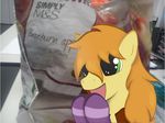  2015 braeburn_(mlp) clothing earth_pony equine fangirl friendship_is_magic gloves green_eyes horse mammal my_little_pony pony real 