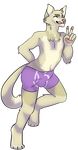  blond_fur briefs bulge cat clothing erection feline male mammal ovenbutt_(artist) quoe_(character) standing translucent underwear 