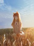  animal_ears arms_behind_back breasts brown_hair ciel_(19940421) hair_over_breasts highres holo long_hair looking_at_viewer nude pouch red_eyes small_breasts smile solo spice_and_wolf tail wheat wheat_field wolf_ears wolf_girl wolf_tail 