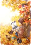  acorn autumn autumn_leaves book boots braid brown_hair camera computer cross-laced_footwear lace-up_boots laptop long_hair original photo_(object) purple_eyes shorts sitting smile solo squirrel sweater tree zenyu 