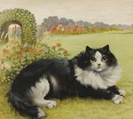  ambiguous_gender black_fur cat detailed_background ears_up feline feral flower fluffy fur grass green_eyes hedge hi_res house license_info looking_at_viewer louis_wain lying mammal multicolored_fur nude on_front outside painting_(artwork) plant public_domain sky traditional_media_(artwork) two_tone_fur whiskers white_fur 