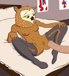  animal_genitalia anthro avian bird bojack_horseman breasts clothing equine female horsecock khevlar legwear male mammal owl penis presenting pussy stockings wanda_pierce yellow_eyes 