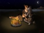  2015 anthro beach campfire darthmaul1999 disney dotty duo feline female female/female fire fringe kissing love mammal moon night outside seaside star starry_sky the_lion_king tribal vitani 