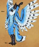  avian bird blue_feathers feathers fluff-kevlar male sheath 