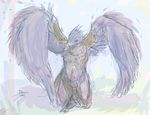  animal_genitalia anthro avian balls beak bird clothing cum erection feathered_wings feathers league_of_legends looking_at_viewer male open_mouth pencil_(artwork) penis scottish_dark_hawk simple_background solo talons traditional_media_(artwork) valor_(lol) video_games wings 