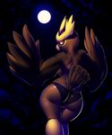  anian anthro avian bird breasts brown_feathers butt clothing elpatrixf feathers female looking_at_viewer moon night nintendo noctowl outside owl panties pok&eacute;mon red_eyes solo standing underwear video_games 