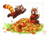  2015 ambiguous_gender autumn cute eyes_closed feral happy jumping kacey leaf_pile leaves mammal outside red_panda 