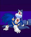  anthro blue_fur blue_hair breasts canine crossover cum cum_in_pussy cum_inside dreamcastzx dreamcastzx2 duo female fox fur hair hedgehog krystal mammal nintendo sonic_(series) sonic_the_hedgehog star_fox video_games white_fur 