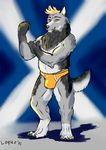  briefs canine chub clothing loque male mammal muscular underwear wolf 