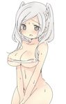  1girl breasts ebi_shamo fire_emblem simple_background white_hair 