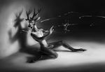  anthro antlers cervine deer erection horn humanoid_penis male mammal penis solo tragerotica 