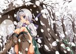  blue_eyes breath flower hairband katana konpaku_youmu konpaku_youmu_(ghost) oriental_umbrella scarf short_hair silver_hair sitting snow solo sword touhou tree umbrella weapon yasojima_nejiro 