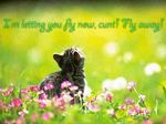  angry cat feline flower grass mammal photo plant real tagme text yelling 