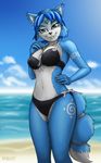  anthro beach big_breasts bikini blue_eyes blue_fur blue_hair breasts canine cleavage clothed clothing english_text female fox fur hair heresy_(artist) krystal mammal necklace nintendo sea seaside signature smile solo star_fox swimsuit text video_games water 