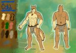  2015 abs anthro canine character_ref chest_tuft claws clothed clothing fur half-dressed loincloth male mammal manly muscular pecs shade_the_wolf topless tribal tuft warrior wolf 