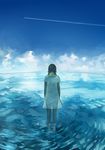  axis_powers_hetalia back bad_id bad_pixiv_id brown_hair cloud condensation_trail day dress from_behind hair_ribbon long_hair popompon ribbon see-through seychelles_(hetalia) sky solo standing sundress twintails wading water white_dress 