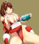  bad_id bad_pixiv_id breasts brown_hair cleavage fatal_fury large_breasts loincloth long_hair masao no_bra no_panties pelvic_curtain ponytail revealing_clothes shiranui_mai sideboob smile solo the_king_of_fighters watering_can yellow_eyes 