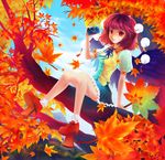  autumn_leaves black_hair black_wings camera fatherland2009 geta hat highres in_tree leaf looking_at_viewer red_eyes shameimaru_aya short_hair sitting sitting_in_tree solo tengu-geta tokin_hat touhou tree wings 