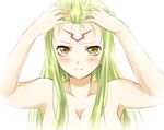  bad_id bad_pixiv_id blush breasts c.c. cleavage close-up code_geass facial_mark forehead forehead_mark green_hair large_breasts long_hair maruki_(punchiki) nude solo yellow_eyes 