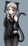  absurdres animal_ears aqua_eyes bare_shoulders black_legwear blush cat_ears cat_tail cowboy_shot crotch_seam detached_sleeves grey_background hand_on_own_chest highres jk-ff pantyhose sanya_v_litvyak short_hair silver_hair solo strike_witches tail thigh_gap world_witches_series 