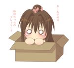  box brown_hair chibi flower for_adoption hair_flower hair_ornament in_box in_container kantai_collection long_hair mamiya_aira o_o ponytail solo teardrop tearing_up tears translated transparent_background yamato_(kantai_collection) 