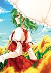  arm_garter ascot blurry cloud day depth_of_field field flower flower_field from_behind green_hair kazami_yuuka nature parasol plaid plaid_skirt plaid_vest puffy_sleeves red_eyes reina_(black_spider) short_hair skirt skirt_set solo sunflower touhou umbrella vest wind 