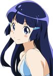  aoki_reika blue_eyes blue_hair blush long_hair precure simple_background smile smile_precure! solo umanosuke upper_body white_background 