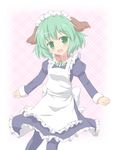  alternate_costume animal_ears apron blush bow collar enmaided fang green_eyes green_hair head_tilt juliet_sleeves kasodani_kyouko long_sleeves looking_at_viewer maid maid_headdress open_mouth pantyhose plaid plaid_background puffy_sleeves shino_megumi short_hair solo touhou 