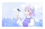  1girl bird bird_on_hand blue_eyes border dress highres letty_whiterock long_sleeves looking_up pinto_404 purple_dress purple_hair shirt snowing solo touhou white_border white_headwear white_shirt 