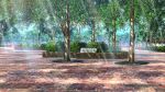  brick_road building bush dappled_sunlight day film_grain game_cg izumi_tsubasu lamppost no_humans non-web_source official_art outdoors park re:stage! scenery sign sunlight tree 