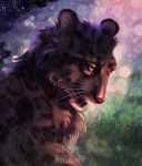 bigcat domestic_cat felid feline felis feral hi_res jaguar mammal melodyofforest pantherine