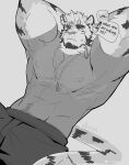  1boy abs absurdres animal_ears arms_behind_head bara cowboy_shot cross_facial_mark dog_tags facial_hair furry furry_male goatee gou_minami_south greyscale highres large_pectorals looking_at_viewer lying male_focus monochrome muscular muscular_male nipples on_back original pectorals scar scar_across_eye see-through see-through_shirt short_hair solo sparse_chest_hair sparse_navel_hair thick_eyebrows tiger_boy tiger_ears white_hair 