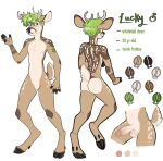 4_fingers anthro antlers arm_markings balls black_hooves brown_body brown_eyes brown_fur brown_markings bucklucky butt chest_tuft deer ear_piercing ear_ring erection facial_piercing featureless_crotch fingers front_view fur genitals green_hair hair hi_res hooves horn humanoid_genitalia humanoid_penis lip_piercing lucky_(bucklucky) male mammal markings model_sheet mouth_closed multiple_piercings navel nude penis piercing rear_view ring_piercing short_hair signature snakebite_piercing solo spotted_legs spotted_shoulders standing tan_antlers tan_balls tan_body tan_fur tan_penis tan_spots tuft