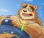 bear blush bontiage clothing denim embarrassed eyebrows eyewear farmer glasses hat headgear headwear hi_res jewelry lifewonders low-angle_view male mammal necklace overalls pecs question_mark straw_hat thick_eyebrows tokyo_afterschool_summoners volos