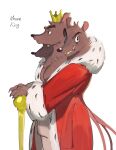 3_heads 3_tails absurd_res anthro bottomwear brown_body brown_fur clawed_fingers clothed clothing crown eyebrows facial_scar fur headgear hi_res kogito male mammal mouse mouse_king multi_head multi_tail murid murine pants robe rodent scar snout solo tail the_nutcracker