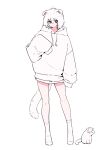  ahoge animal_ears averting_eyes bare_legs blush bob_cut bright_pupils cat cat_ears cat_girl cat_tail dot_mouth full_body highres hood hoodie megateru nose_blush original sleeves_past_fingers sleeves_past_wrists socks solo tail thigh_gap white_background white_cat white_hoodie white_pupils white_socks white_theme 