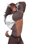 anthro baidou bottomwear canid canine clothed clothing clothing_lift fur male mammal muscular muscular_anthro muscular_male pants pleasant_goat_and_big_big_wolf shirt shirt_lift simple_background solo teeth topwear white_background xiao_li