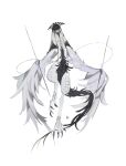  animal black_feathers black_tail claws creature feathers highres kamikiririp no_humans open_mouth original solo straight-on white_background white_feathers winged_arms wings 