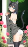  1girl :o against_pillar apollo_(hu_maple) ass back bell black_hair black_thighhighs blue_collar blue_eyes blue_ribbon blurry blurry_background bra brown_sweater cat_day cat_girl cat_tail clenched_hands clothes_down collar cowboy_shot flower from_behind highres jingle_bell light_blush long_sleeves looking_at_viewer looking_back off_shoulder original outdoors panties parted_lips red_flower red_rose ribbon rose short_hair solo sweater tail tail_ornament tail_ribbon thighhighs thighs trellis underwear white_bra white_panties 